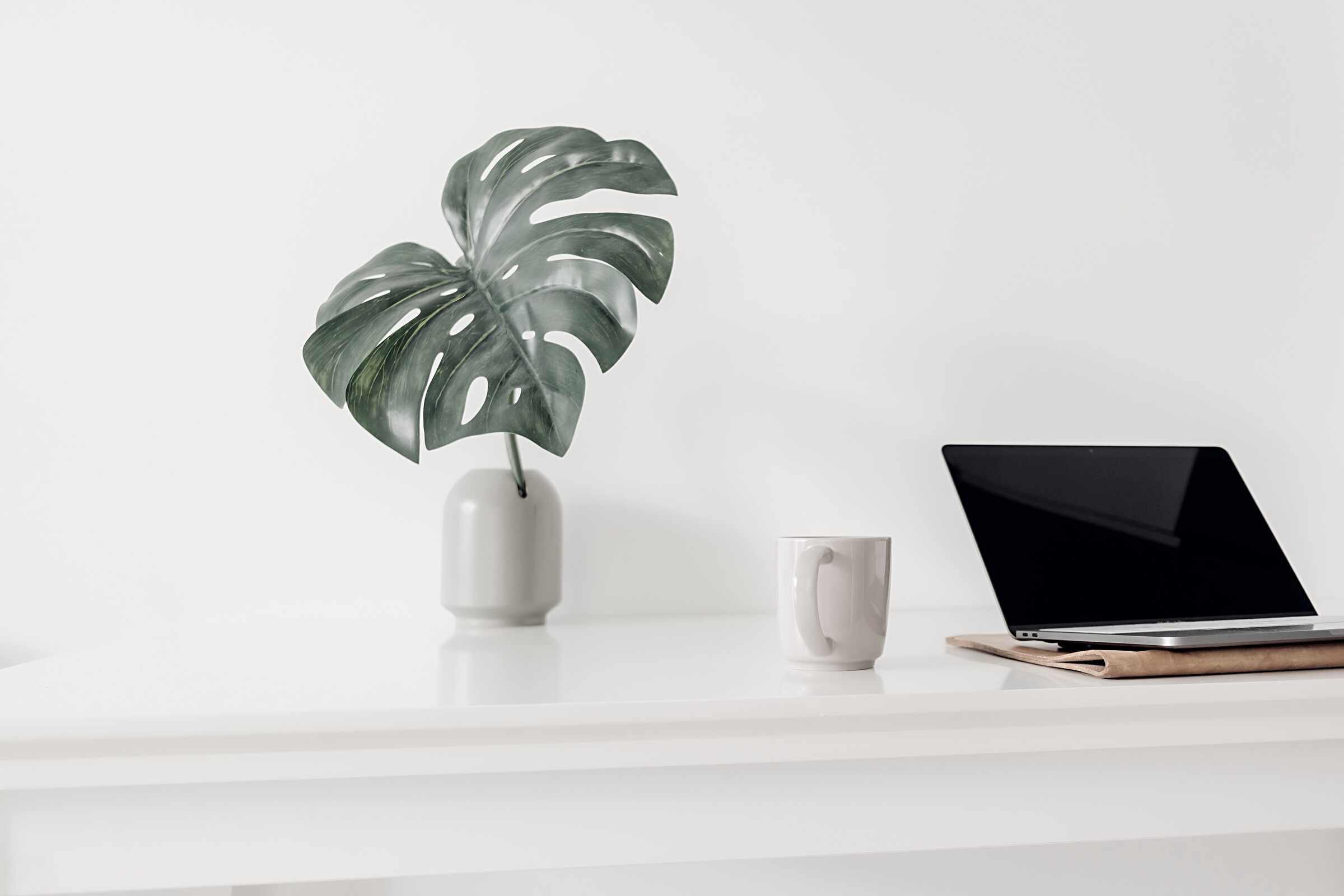 Minimal Laptop Workspace with Plant Decoration and Coffee.